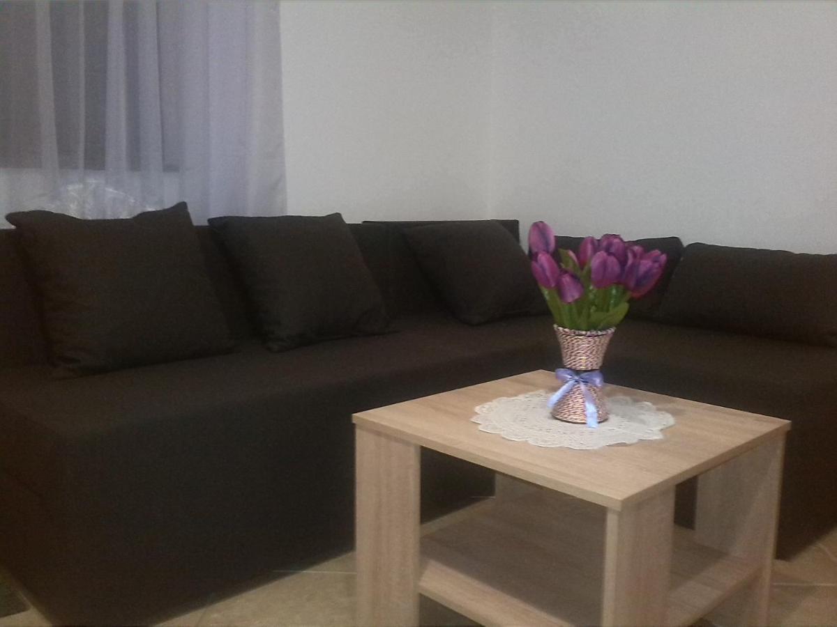 Apartman Borosa Vir Bagian luar foto